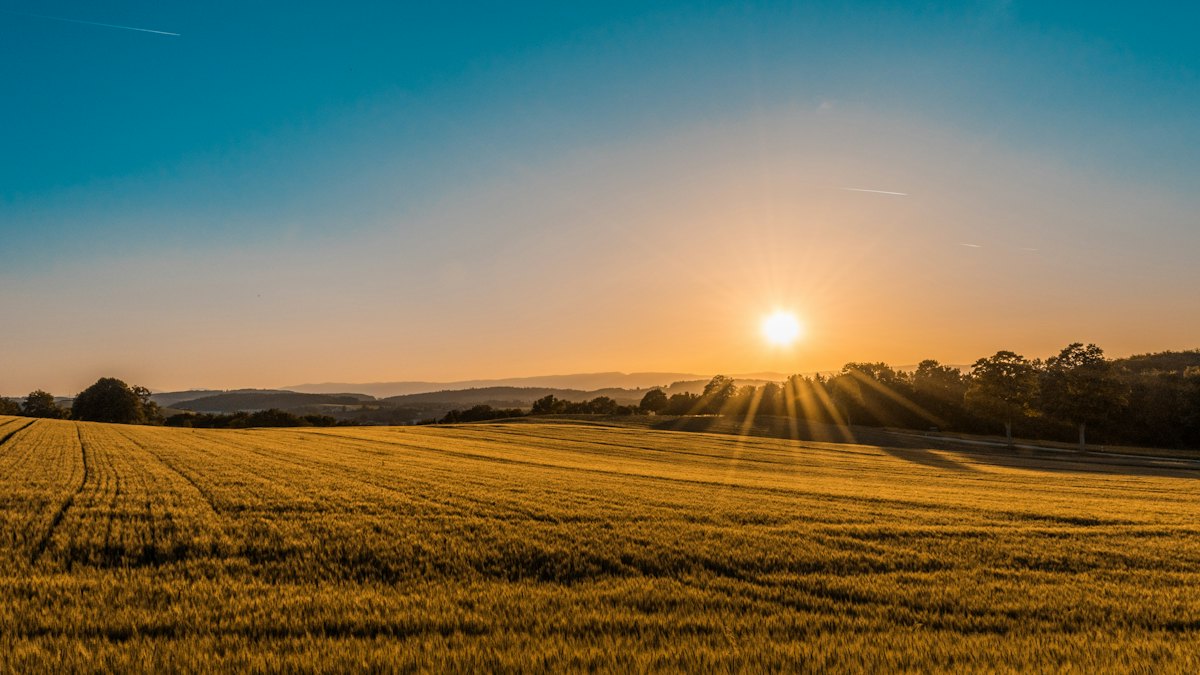 Agricultural machinery operating across farmland at harvest.